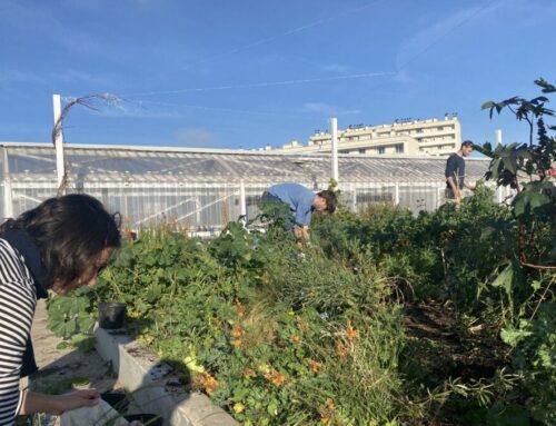 ENSP• Jardiner la toiture !